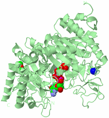 Image Biological Unit 2