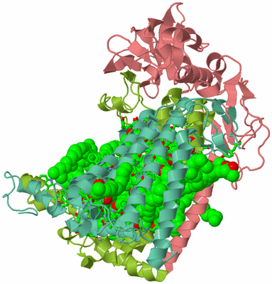 Image Asym./Biol. Unit - sites