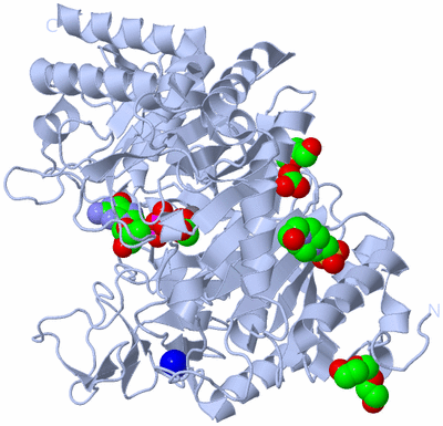 Image Biological Unit 1