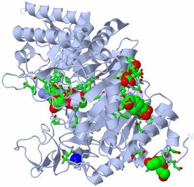 Image Biol. Unit 1 - sites