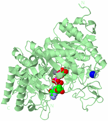 Image Biological Unit 2