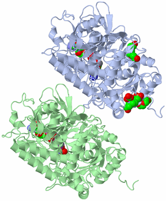 Image Biological Unit 3