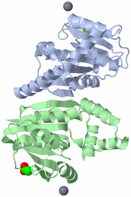 Image Asym./Biol. Unit