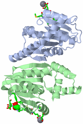 Image Asym./Biol. Unit - sites