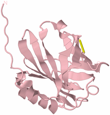 Image Biological Unit 3