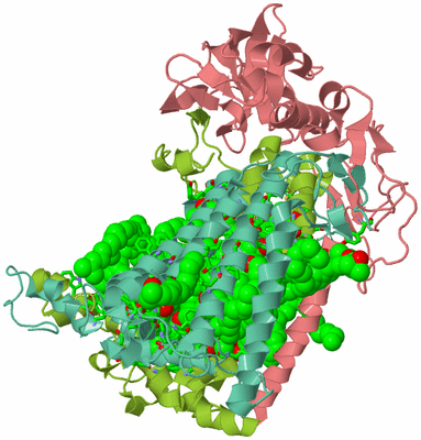 Image Asym./Biol. Unit - sites