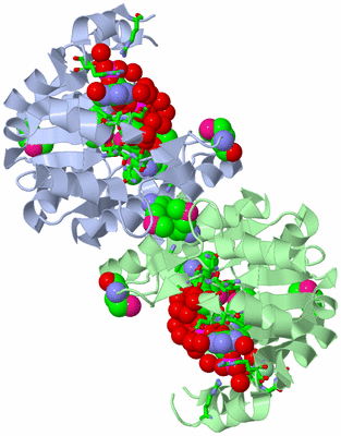 Image Asym./Biol. Unit - sites