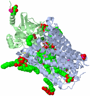 Image Biological Unit 1