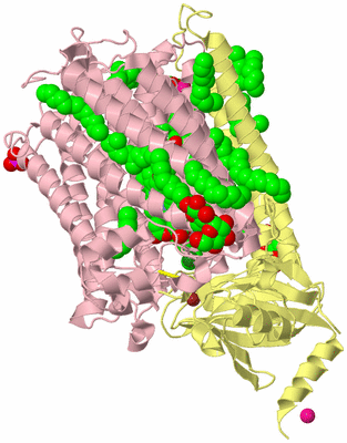 Image Biological Unit 2