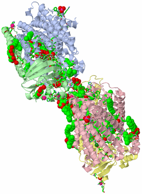 Image Asym. Unit - sites