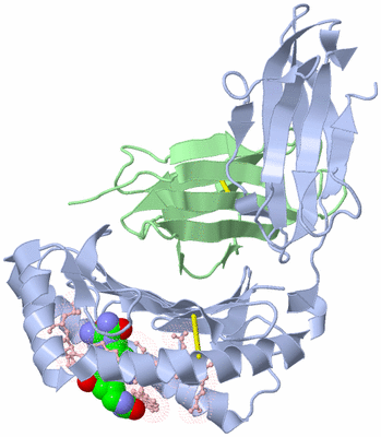 Image Biological Unit 2