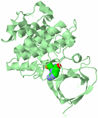 Image Biological Unit 2