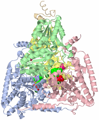 Image Biological Unit 1