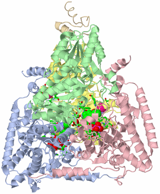 Image Biol. Unit 1 - sites