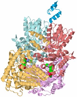 Image Biological Unit 2