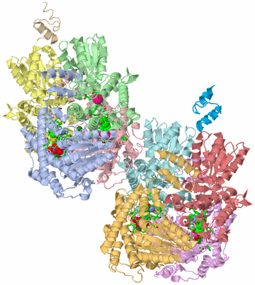 Image Asym. Unit - sites