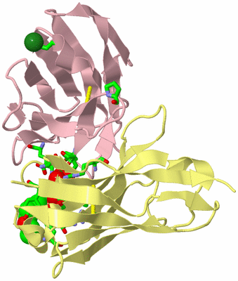 Image Biol. Unit 1 - sites