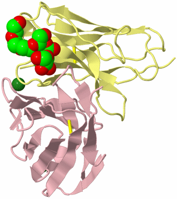 Image Biological Unit 2