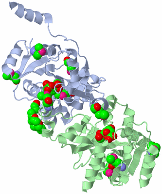 Image Asym./Biol. Unit