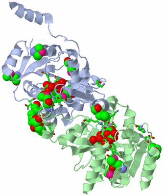 Image Asym./Biol. Unit - sites