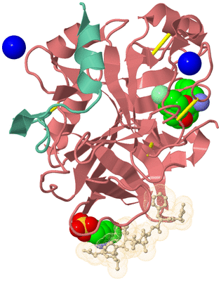 Image Asym./Biol. Unit