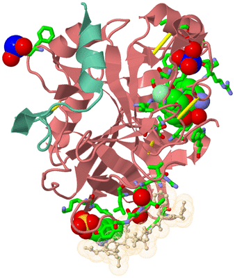 Image Asym./Biol. Unit - sites