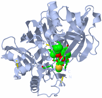 Image Biol. Unit 1 - sites