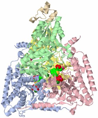 Image Biological Unit 1