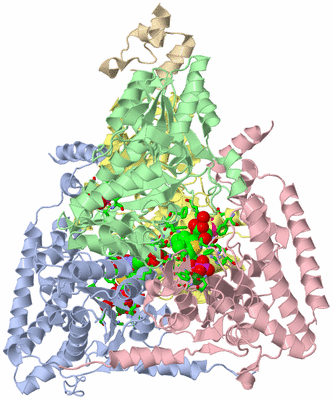 Image Biol. Unit 1 - sites