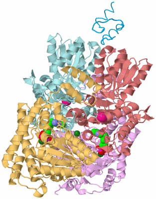 Image Biological Unit 2