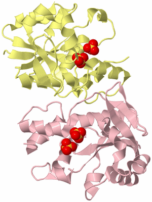 Image Biological Unit 1