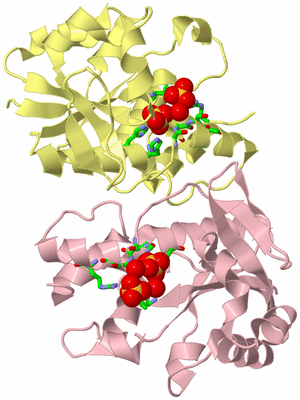 Image Biol. Unit 1 - sites