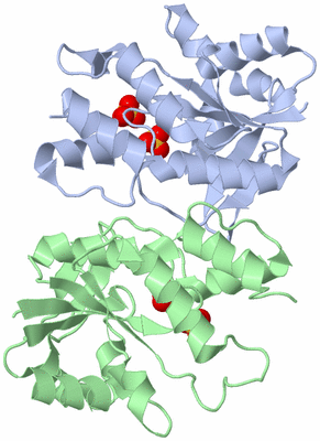 Image Biological Unit 2