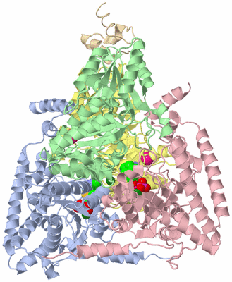 Image Biological Unit 1