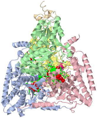 Image Biol. Unit 1 - sites