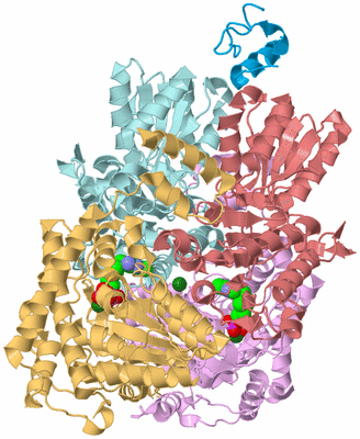 Image Biological Unit 2