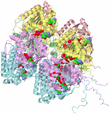 Image Asym./Biol. Unit