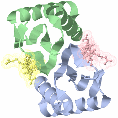 Image Asym./Biol. Unit