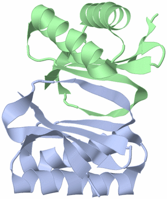 Image Biological Unit 3