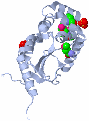 Image Biological Unit 1