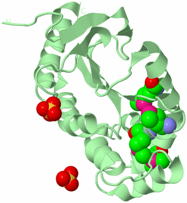 Image Biological Unit 2