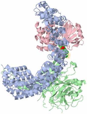 Image Biological Unit 1