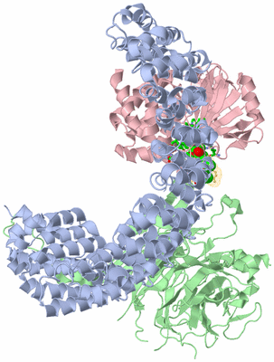 Image Biol. Unit 1 - sites