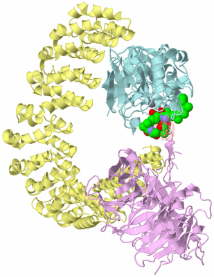 Image Biological Unit 2