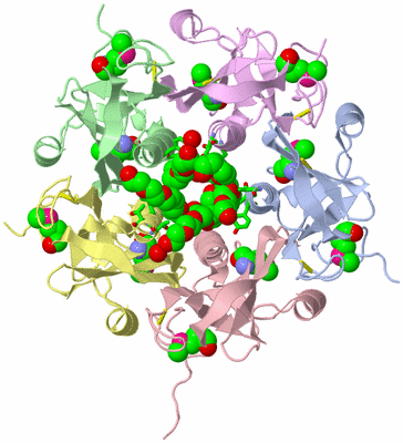 Image Asym./Biol. Unit - sites