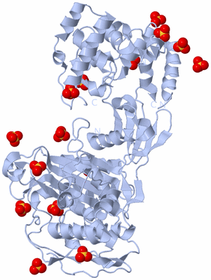 Image Biological Unit 1