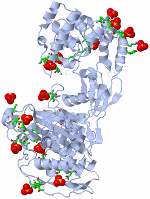 Image Biol. Unit 1 - sites