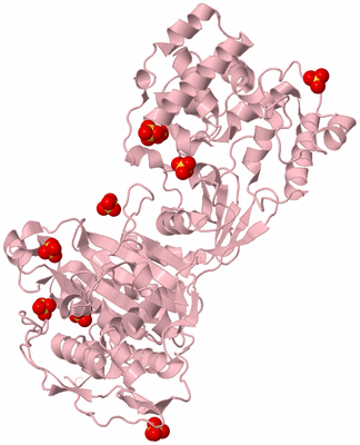 Image Biological Unit 3