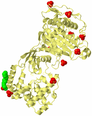 Image Biological Unit 4