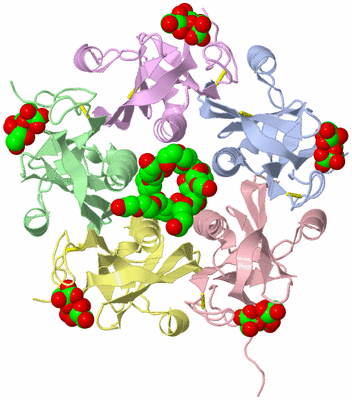 Image Asym./Biol. Unit